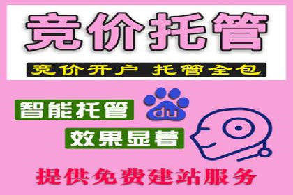 行业领先企业的SEM竞价优化经验分享